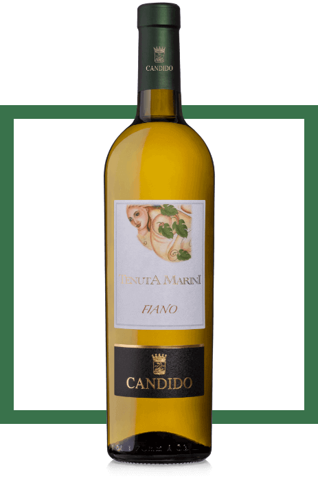 Teniuta Marini Candido Fiano vini bianchi Salento